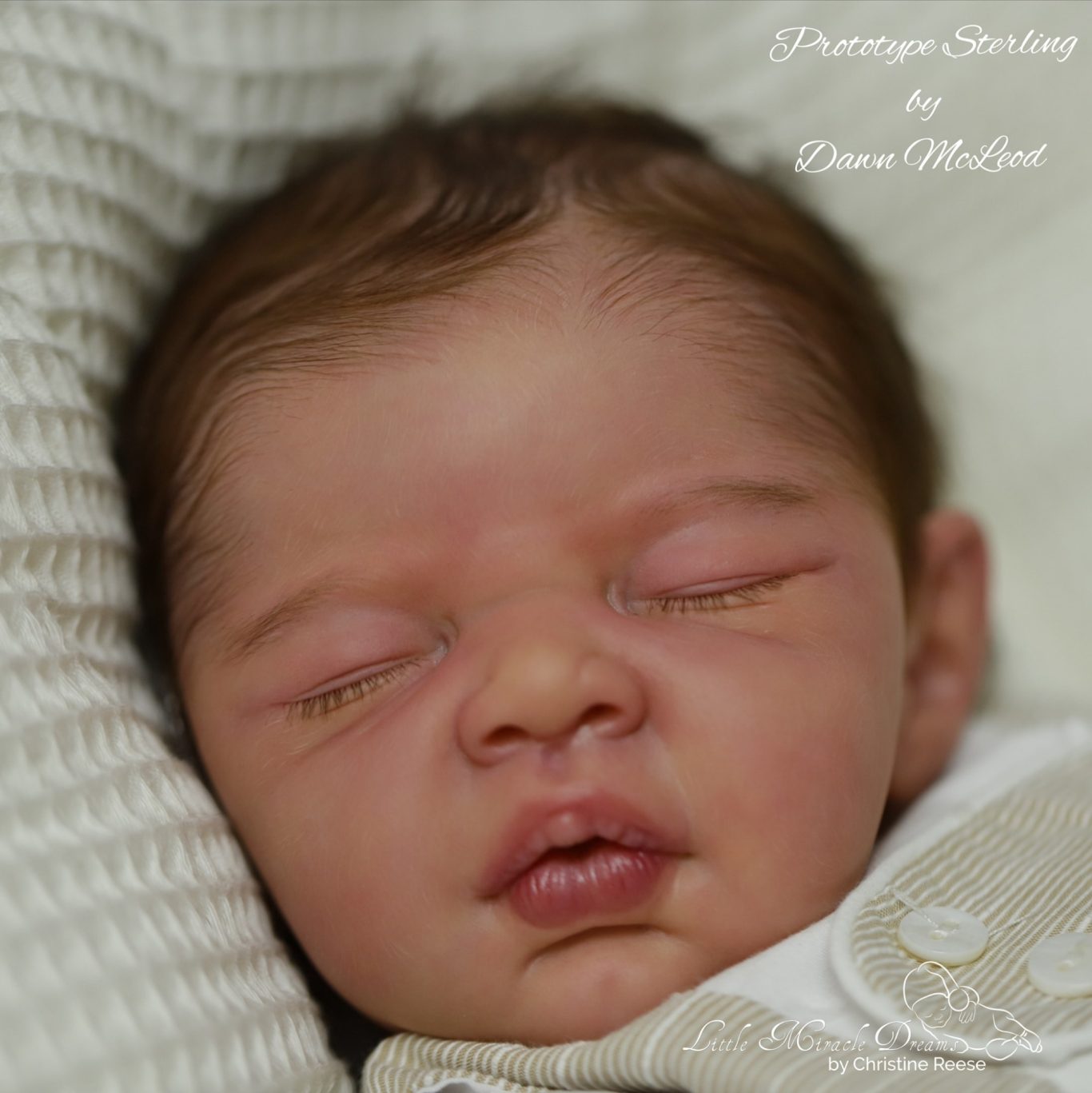 STERLING de Dawn Mac Leod